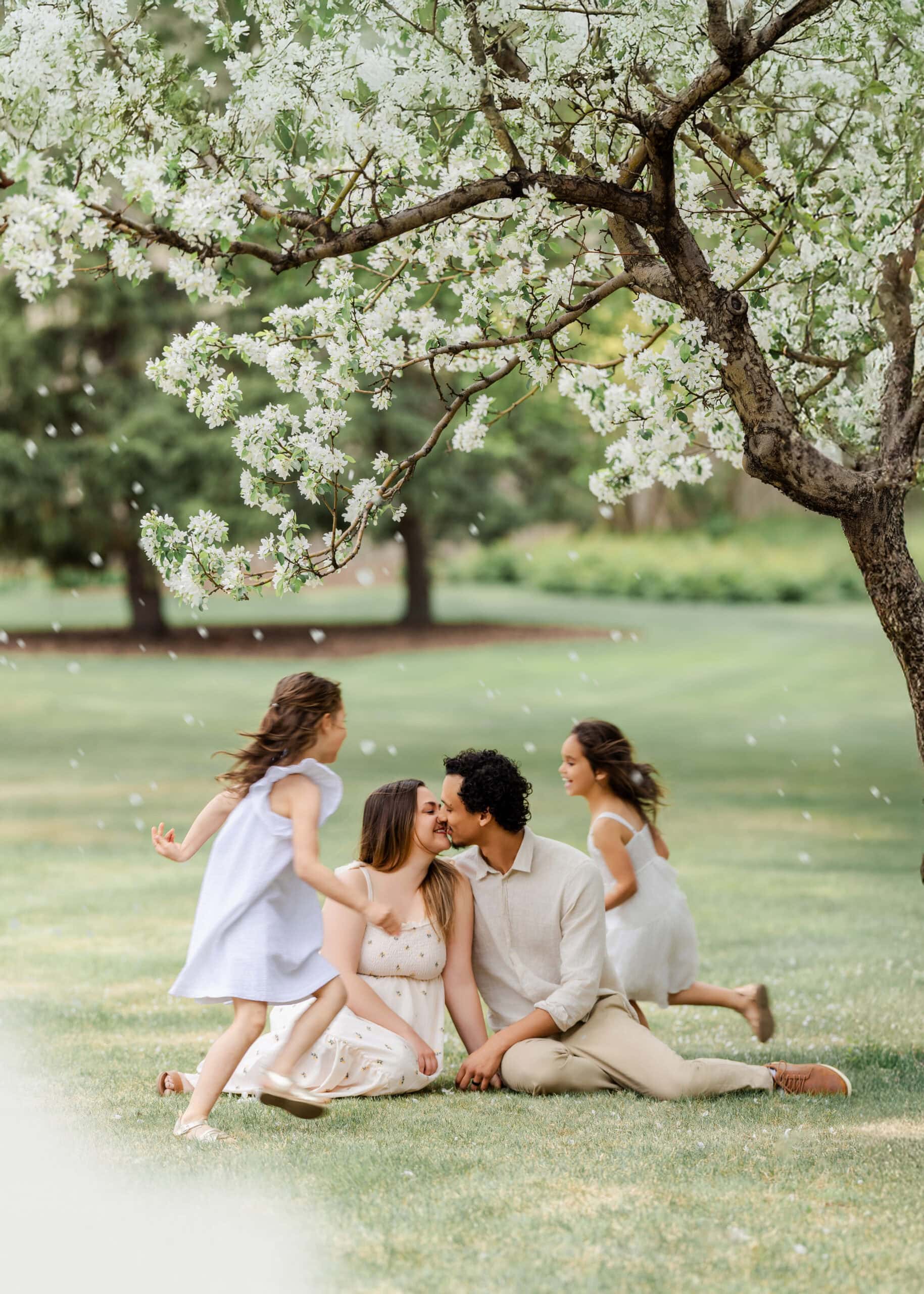 spring family photo with kids running around parents under a blosoom tree in Edmonton