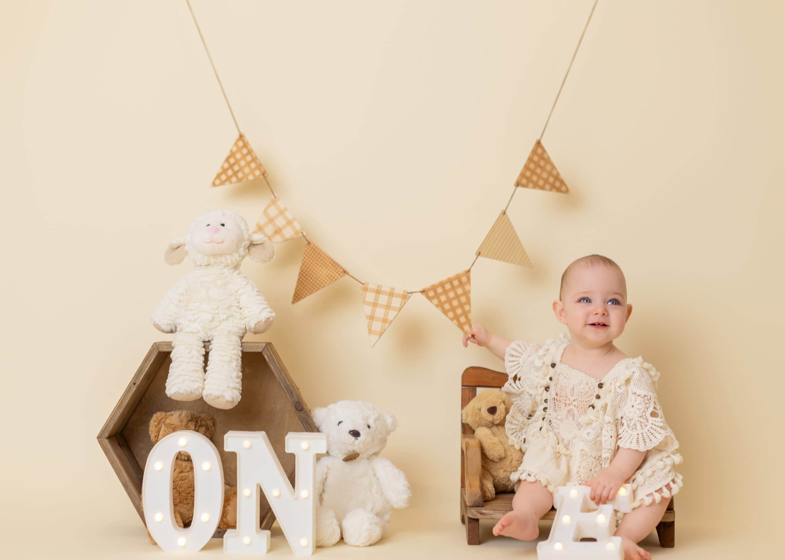 baby first birthday with Little One Photography in Edmonton.