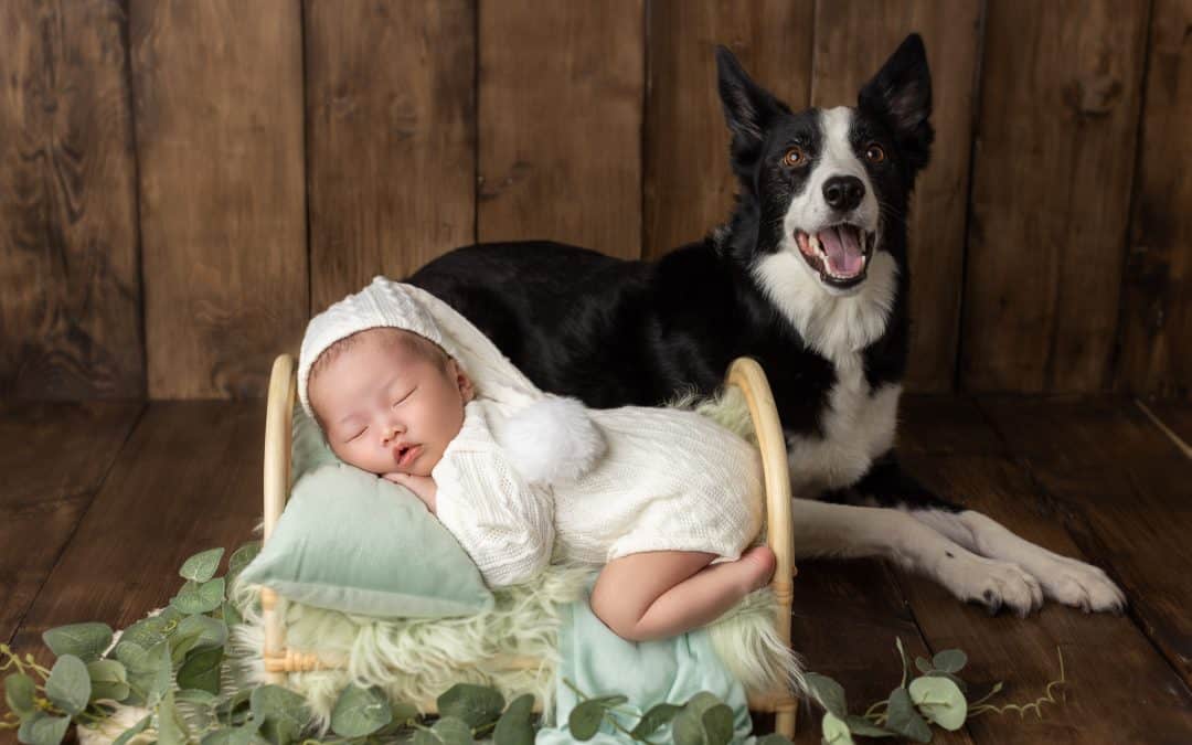 25 Adorable Newborn Photography Ideas for Parents