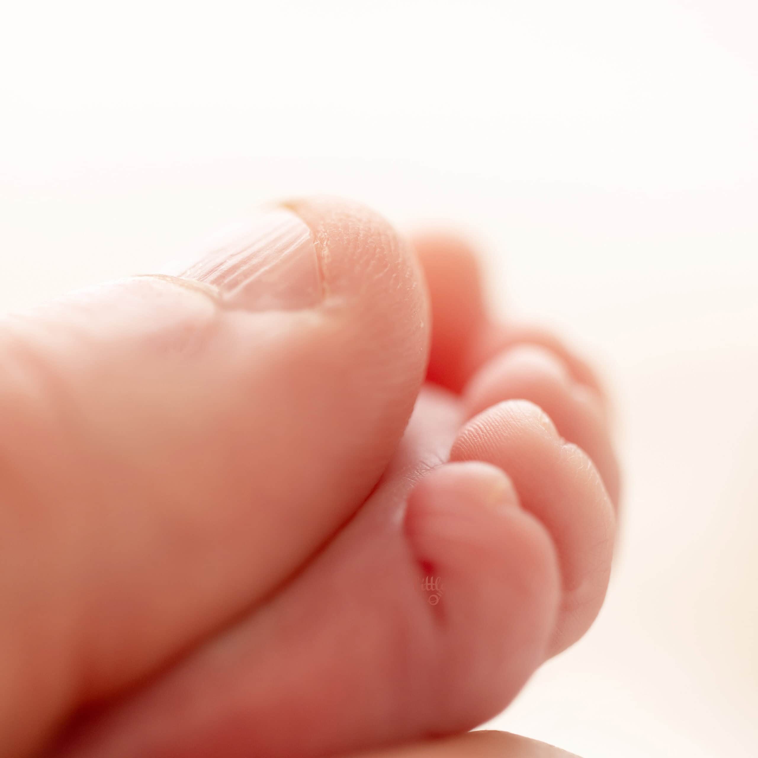 dad holding newborn baby's feet for a macro deatil photo for edmonton newborn photography