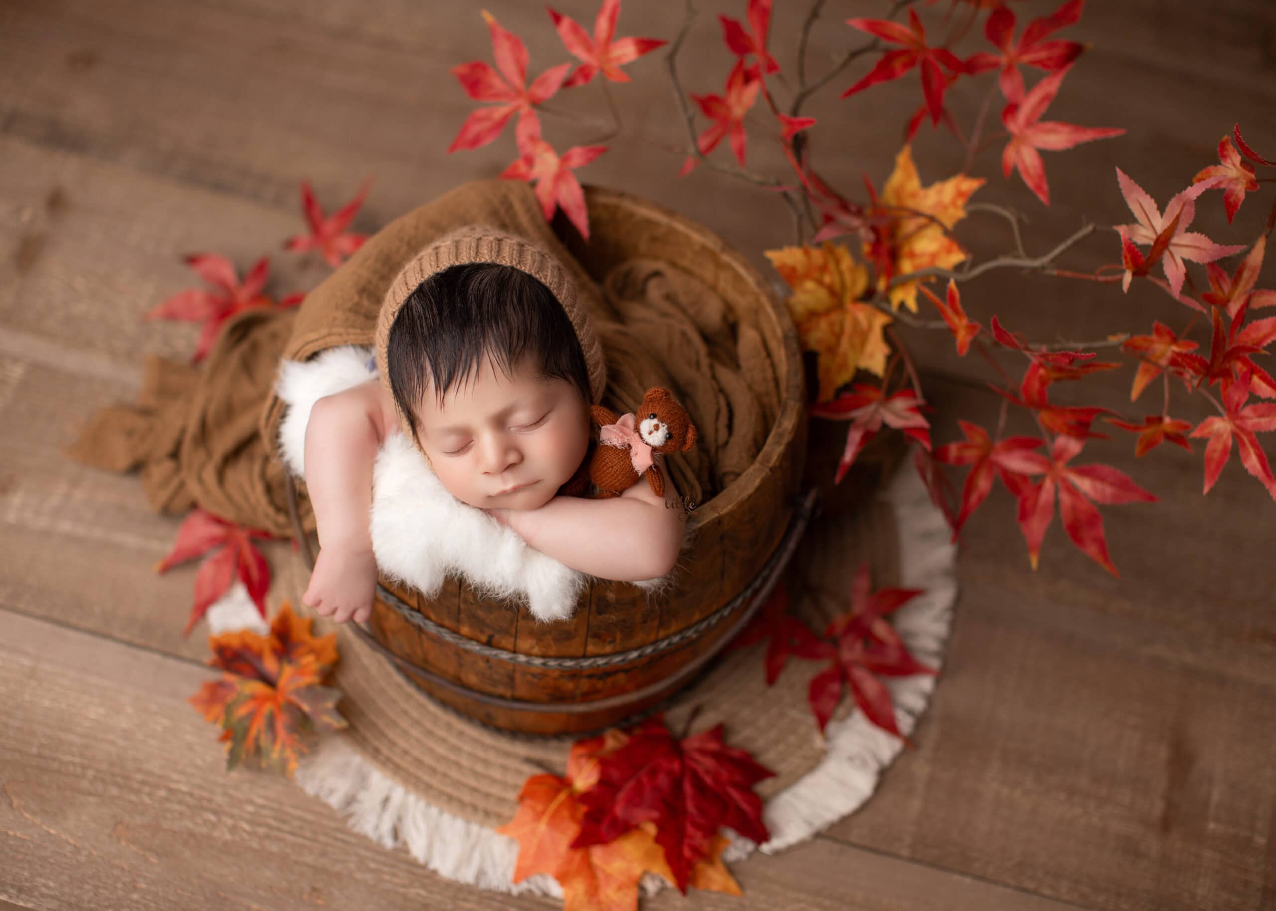 Edmonton newborn baby taking photos surrounded by maple leaves