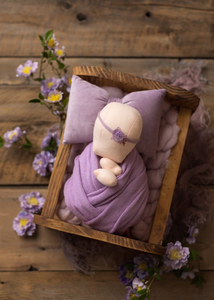 Barn wood backdrop used in Little One Photography