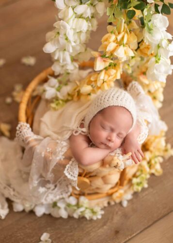 Edmonton newborn photoshoot for a newborn baby in flower set up.